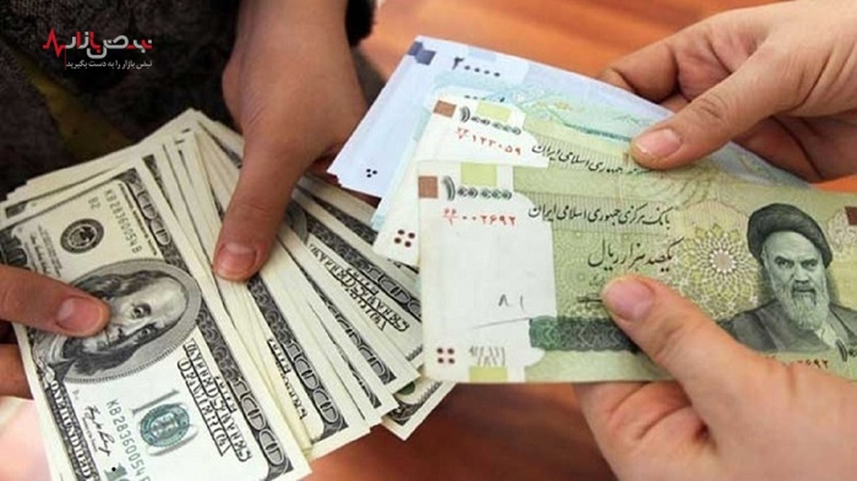 اخلالگران ارزی بازداشت شدند