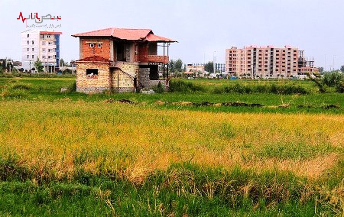 هشدار به خریداران ویلا در شمال / مراقب کلاهبرداران باشید