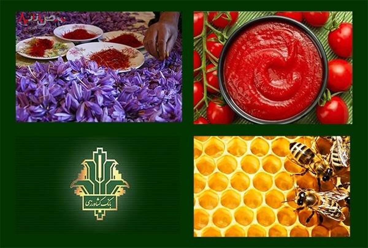  نقش کلیدی بانک کشاورزی در تسریع اجرای طرح کشاورزی قراردادی