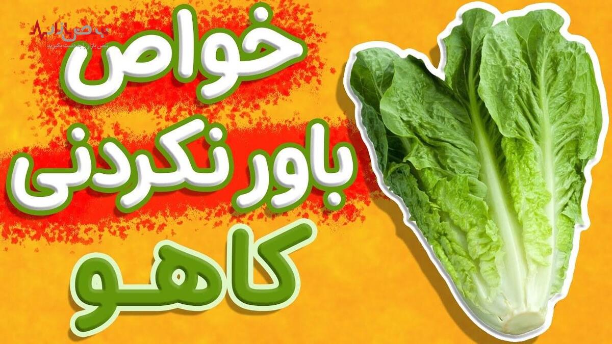 کاهو گنجینه‌ای سبز با ۹ خاصیت شگفت‌انگیز برای سلامتی