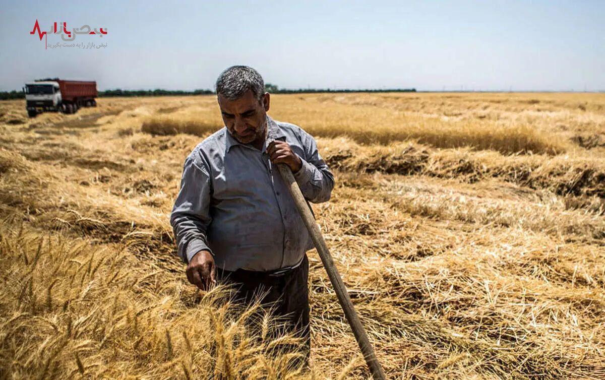 خبر خوش از مطالبات گندمکاران/ جیب جیب گندمکاران پر شد